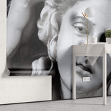 Tapet Personalizat Victorian cu statueta feminina - DAPHNE