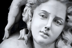 Tapet Personalizat Victorian cu statueta feminina - DAPHNE