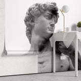 Fototapet Personalizat Victorian cu statueta lui David - MICHELANGELO'S DAVID