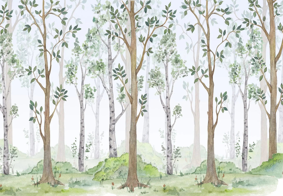 Tapet personalizat natura pentru copii cu copaci intr o padure verde in ceata foggy forest