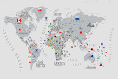 Tapet Personalizat Micii Exploratori cu harta lumii cu steaguri in nuante de gri - ALL FLAGS MAP GREY